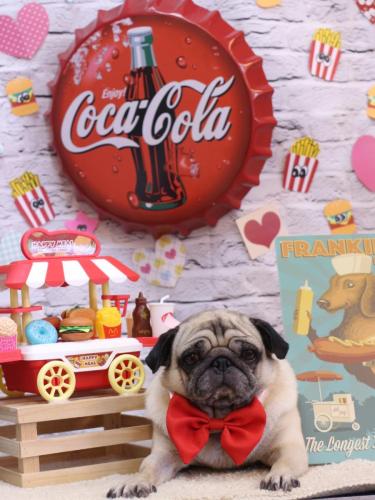 20230901くりこちゃん